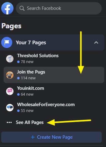 How to access the Facebook Pages Feed - select your page.