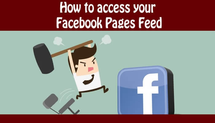 How to access your Facebook Pages Feed