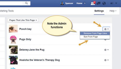 How to find Pages who have liked your Facebook Page 5 Note the Admin functions and that you can Ban a Page from a Page